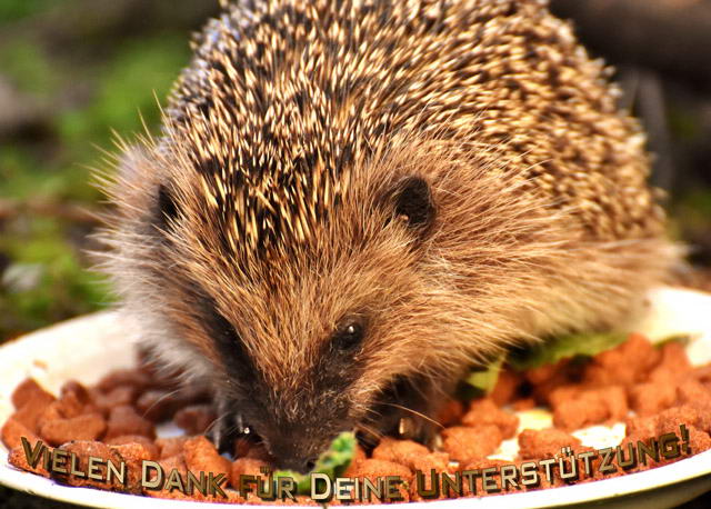 vielen-dank